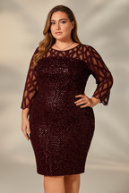Plus Size Sequin Mesh Midi Dress