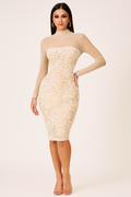 Liora™ Sheer Embroidered Sequin Mini Dress