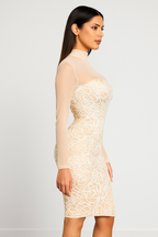 Liora™ Sheer Embroidered Sequin Mini Dress