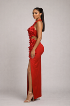 Éclat™ Jardin Appliqué Maxi Dress