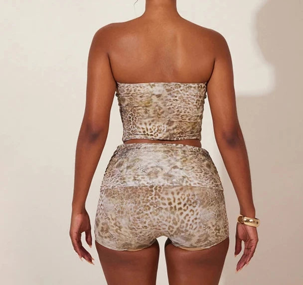 Leopard Print Two Piece Corset Set